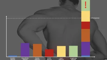 Grafik: Schmerzauslöser, bei denen Schlaf, Psyche, Umfeld und soziale Faktoren die Schmerzgrenze überschreiten