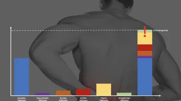 Grafik: Schmerzauslöser, bei denen vor allem Gewebefaktoren die Schmerzgrenze überschreiten